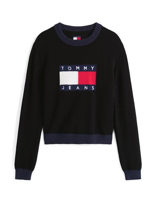 Tommy Jeans Pullover  navy / rød / sort / hvid