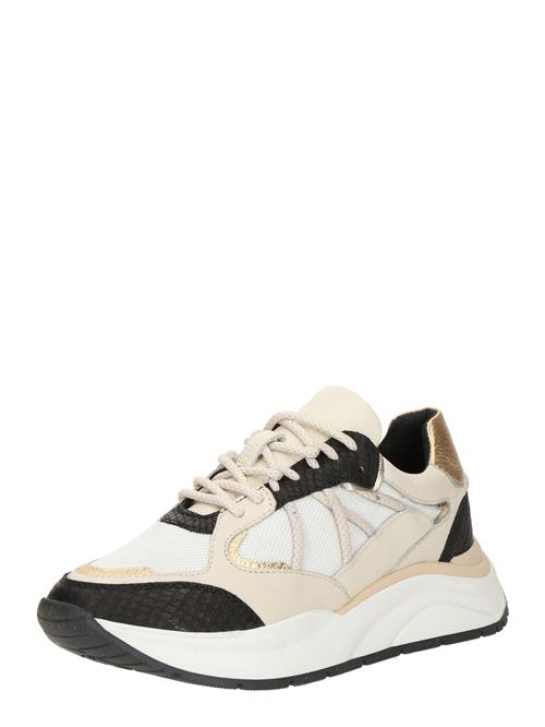 Se PS Poelman Sneaker low  nude / guld / sort ved About You