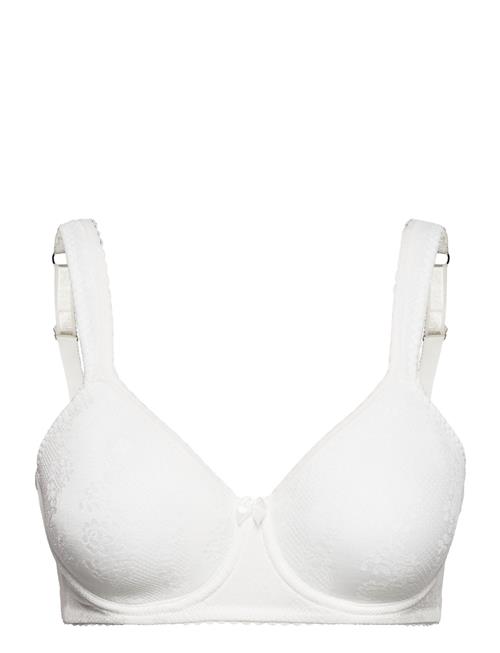 Adorable Shape Padded Wired Bra Swegmark White