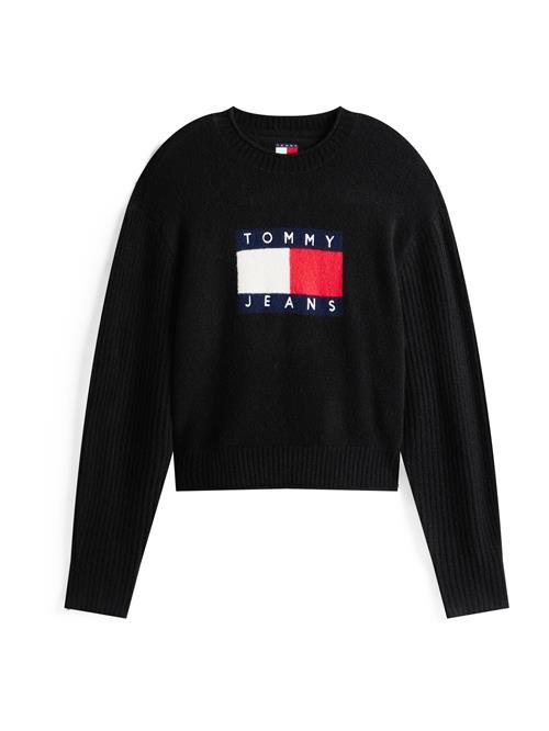 Tommy Jeans Pullover  navy / mørkebrun / rød / hvid