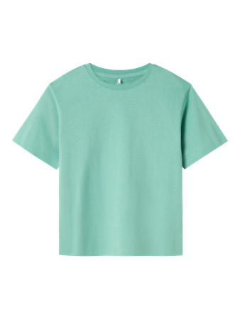 Se NAME IT T-shirt Vobbo Creme De Menthe hos SmartKidz