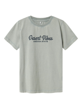 Se NAME IT T-shirt Haldi Slate Gray hos SmartKidz