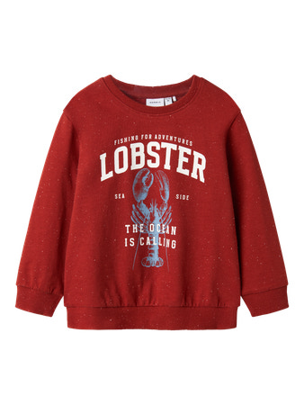 Se NAME IT Sweatshirt Fabian Red Ochre hos SmartKidz