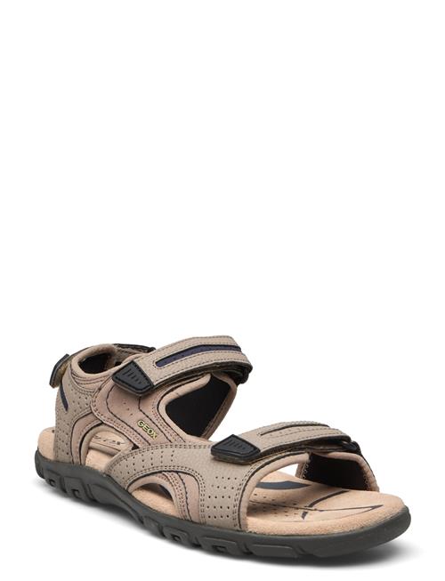 Uomo Sandal Strada D GEOX Beige