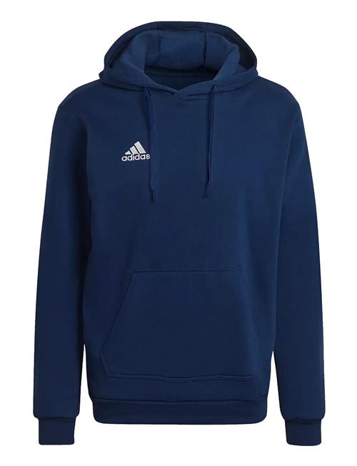 Ent22 Hoody Adidas Performance Navy