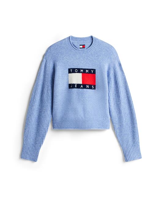 Tommy Jeans Pullover  navy / lyseblå / rød / hvid