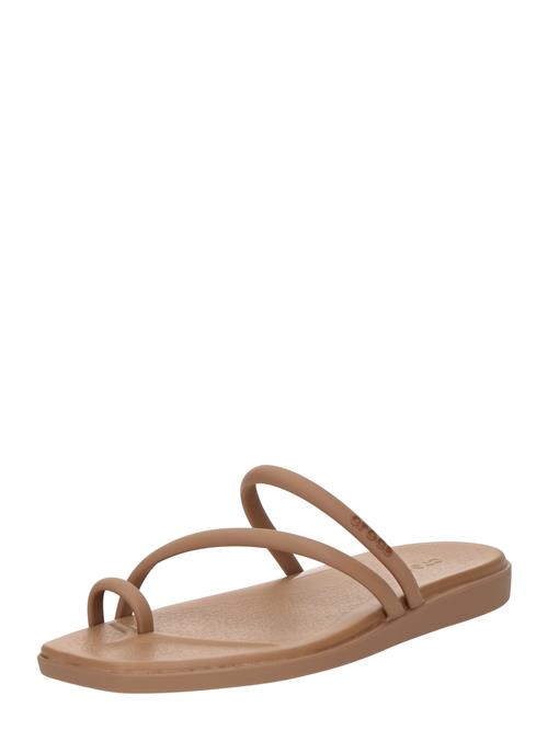 Crocs Klipklappere 'Miami'  brun