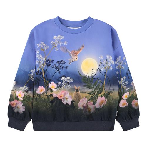 Molo Maxi Sweatshirt Magic Moonrise 152 cm  Blå  152 cm  kvinde