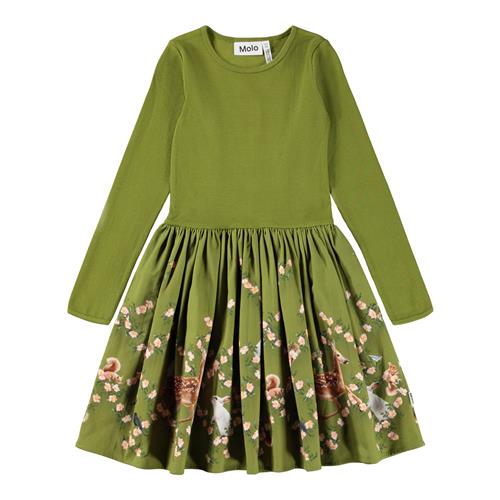 Molo Casie Warm Dress Ls Argyle Forest 146/152 cm  Grøn  146/152 cm  kvinde