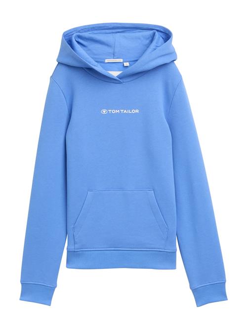 TOM TAILOR Sweatshirt  blå