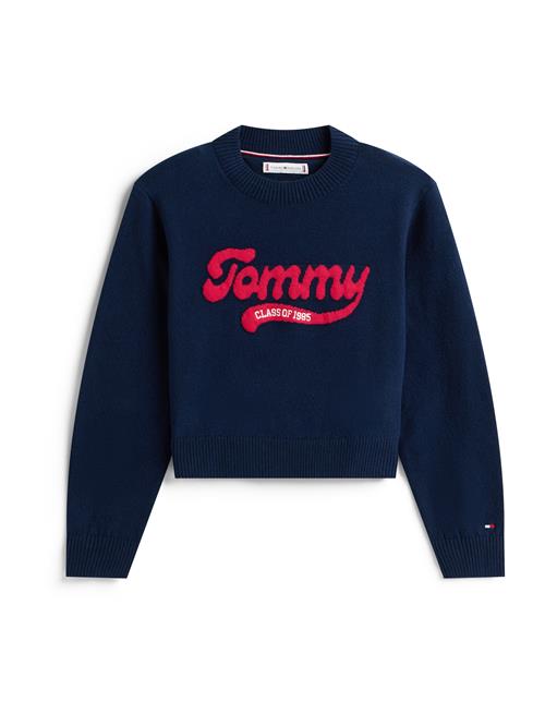 TOMMY HILFIGER Pullover  marin / rød / hvid