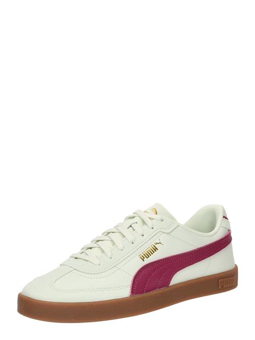Se PUMA Sneaker low 'Club II Era'  pastelgrøn / fuchsia ved About You