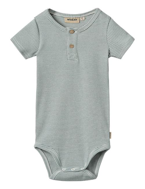 Body S/S Magnus Wheat Blue