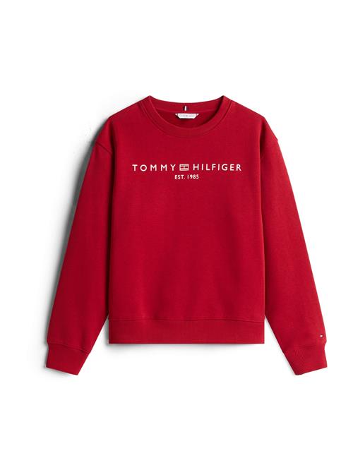 TOMMY HILFIGER Sweatshirt  mørkerød / hvid