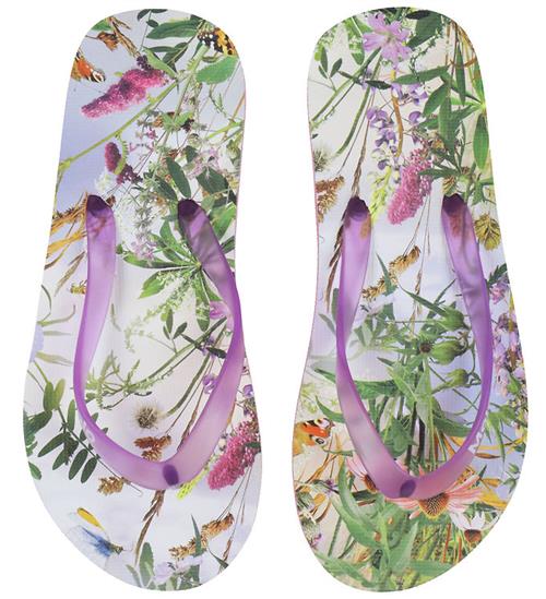 Molo Klipklapper - Zeppo - Wild Nature