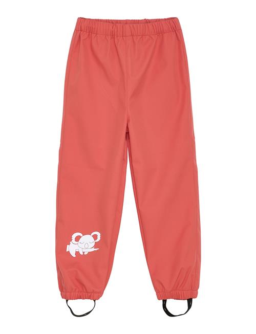 Softshell Pants - Solid CeLaVi Red
