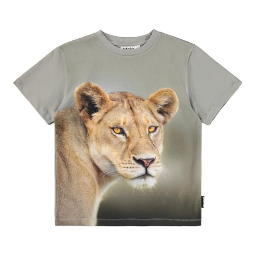 Molo Riley T-shirts Leo  Leo 128 cm  Grøn  128 cm  mand