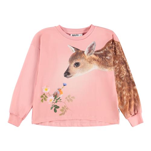 Molo Reniza T-shirt Med Lange Ærmer Flower Gift  Flower Gift 128 cm  Lyserød  128 cm  kvinde