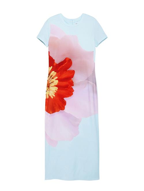 Desigual Kjole  blå / pink / rød