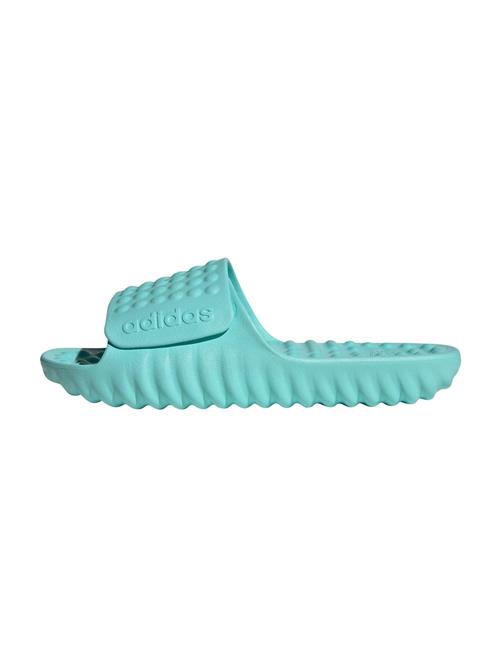 ADIDAS SPORTSWEAR Pantoletter 'ADISSAGE 360REC'  turkis