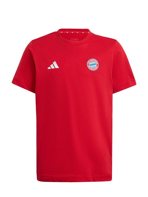 ADIDAS PERFORMANCE Shirts 'DNA FC Bayern München'  blå / rød / hvid