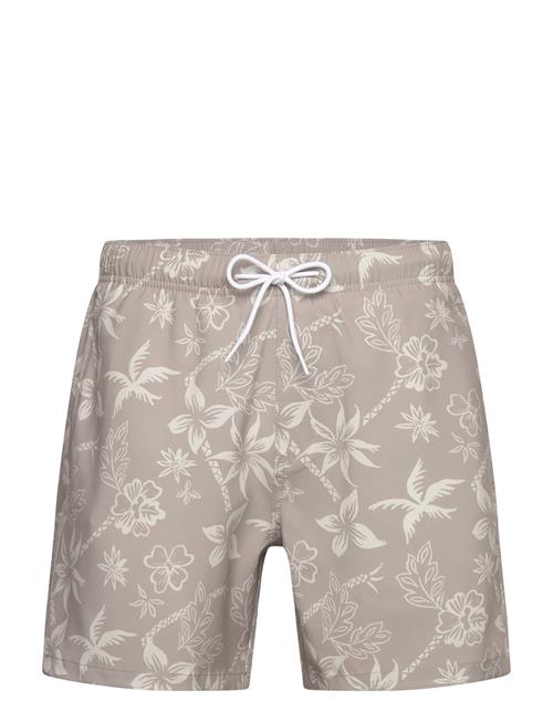 Hco. Guys Swim Hollister Grey