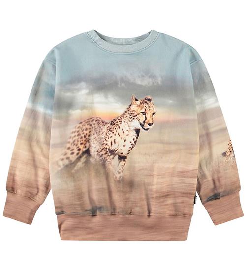 Molo Sweatshirt - Mattis - Running Cheetahs