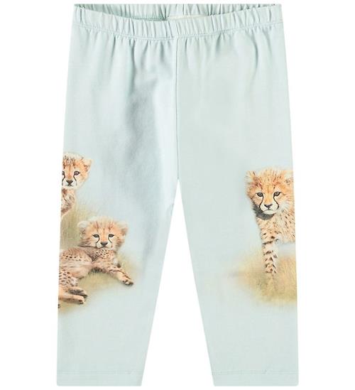 Molo Bukser - Simway - Cheetahs Cute