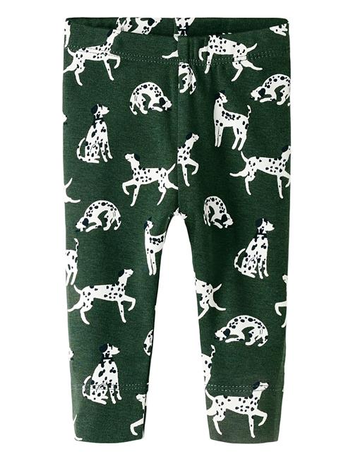 Nbmkian Xsl Legging Box Name It Green