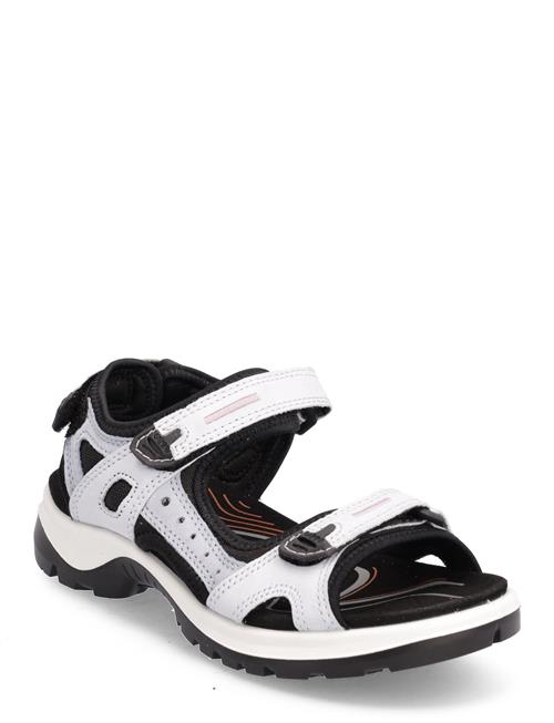 Offroad ECCO Blue