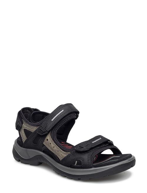 Offroad ECCO Black