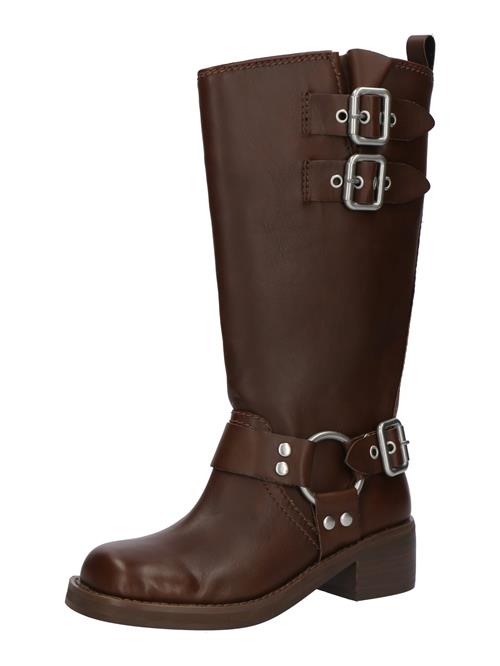 STEVE MADDEN Støvler  mørkebrun