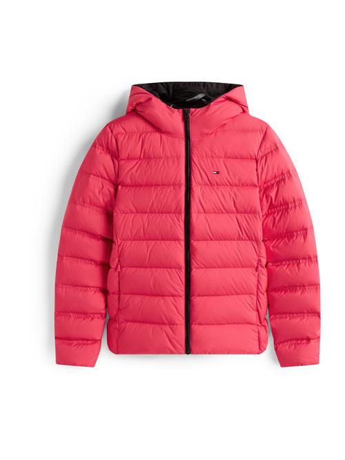 Tommy Jeans Vinterjakke  rød