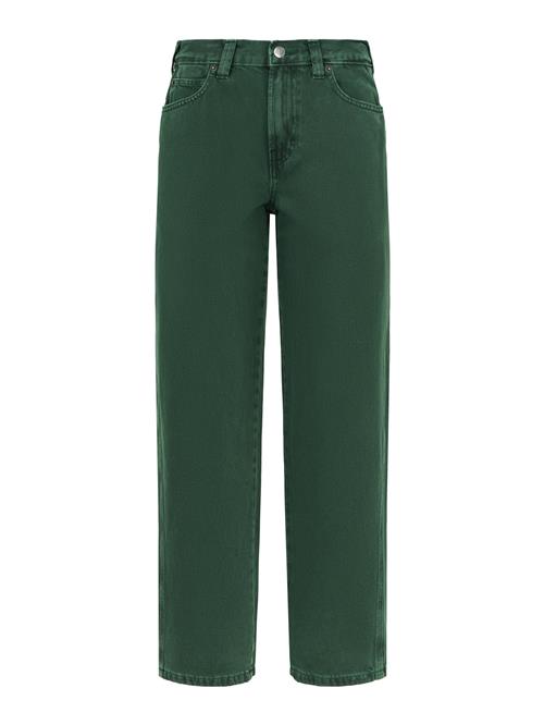 DICKIES Jeans  grøn