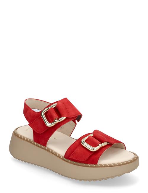 Sandal Gabor Red