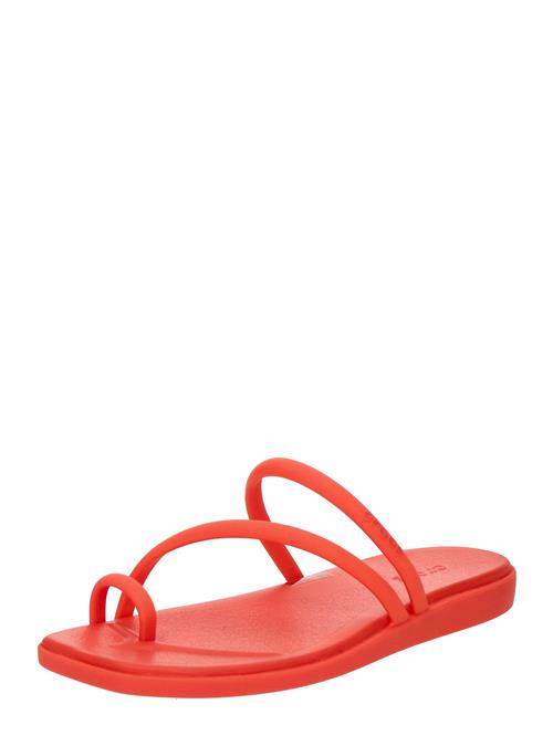 Crocs Klipklappere 'Miami'  hummer