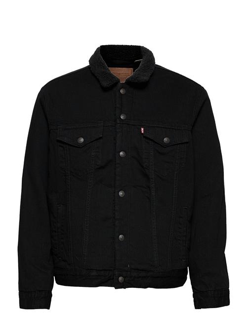 Type 3 Sherpa Trucker Berk She Levi's® Black