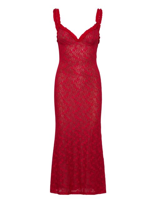Alegra Stretch Lace Midi Dress Bardot Red