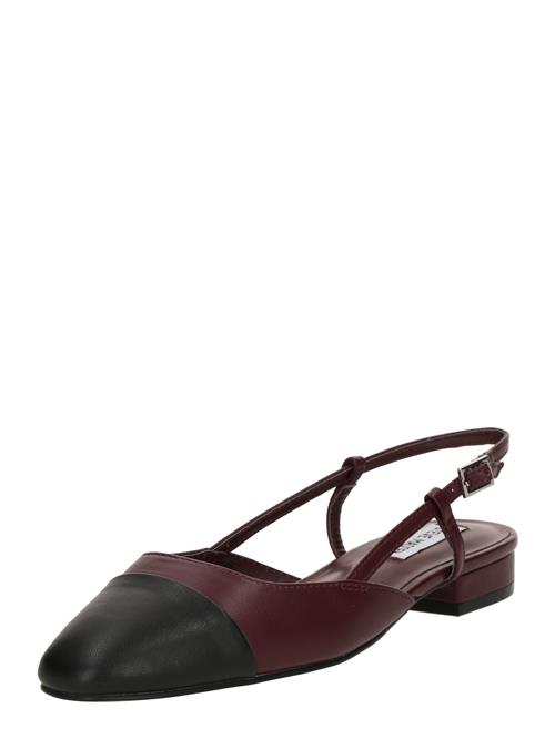 STEVE MADDEN Ballerinasko med rem 'BELINDA'  vinrød / sort