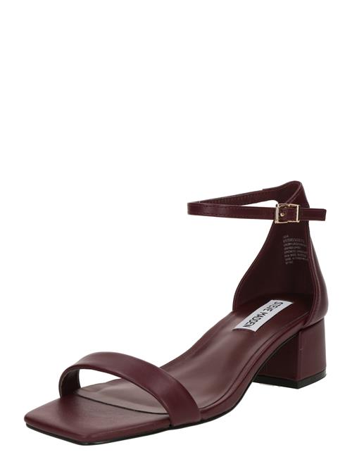 STEVE MADDEN Sandaler med rem 'Gena'  burgunder