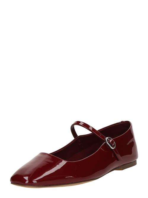 STEVE MADDEN Ballerinasko med rem 'Maple'  merlot