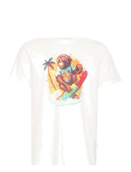 Bhjessy Tee Blend White