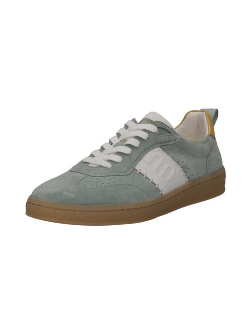 TT. BAGATT Sneaker low  curry / lysegrå / pastelgrøn