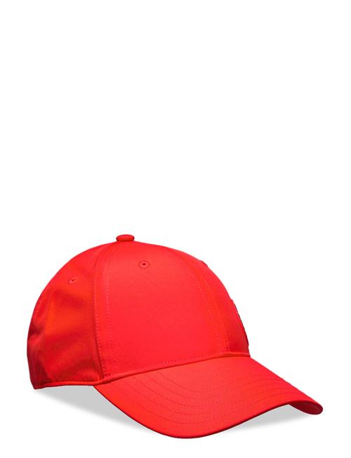 Asmc Cap Adidas By Stella McCartney Red