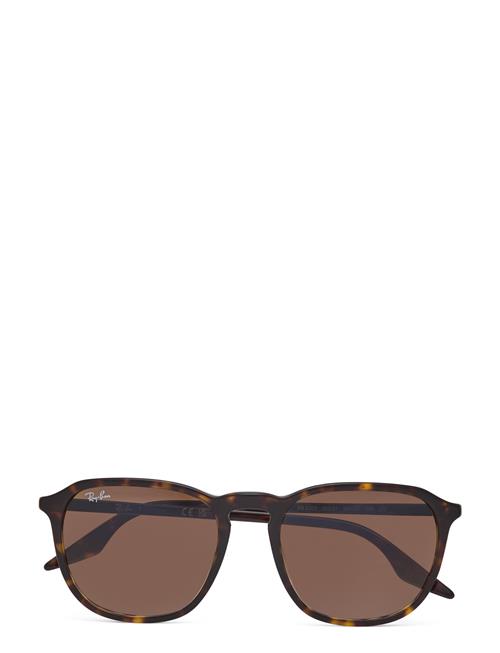 0Rb2203 Ray-Ban Brown