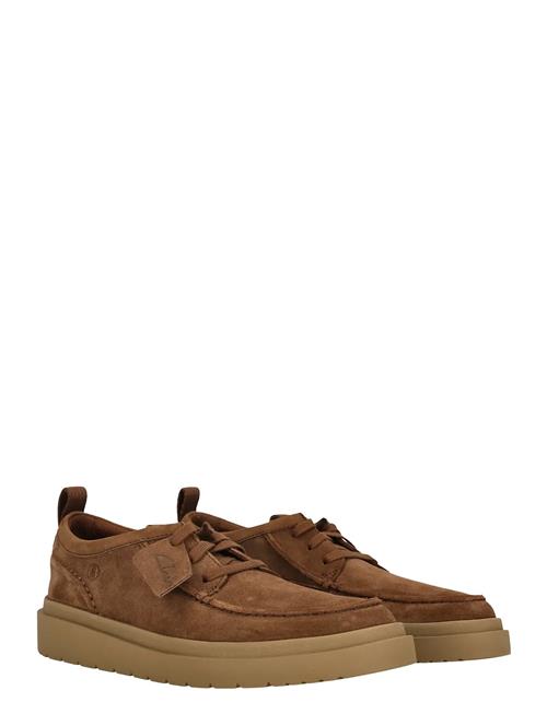 Polden Moc G Clarks Brown