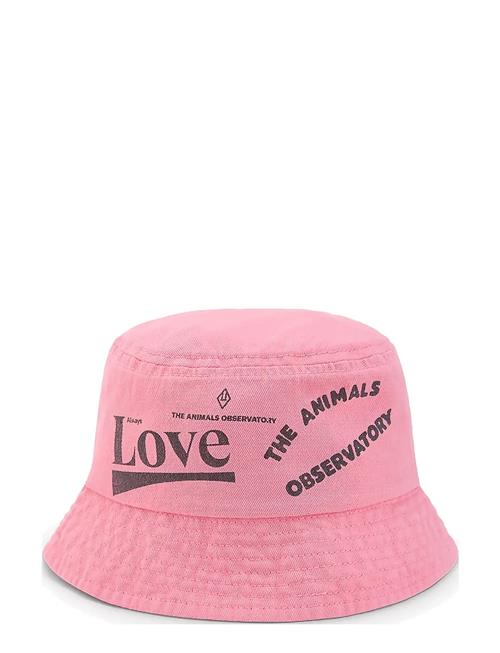 Starfish Baby Bucket Hat Pink THE ANIMALS OBSERVATORY Pink