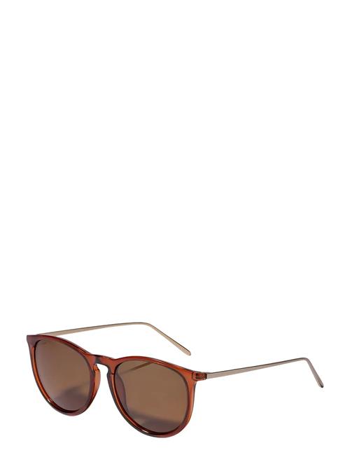 Vanille Sunglasses Brown/Gold Pilgrim Brown