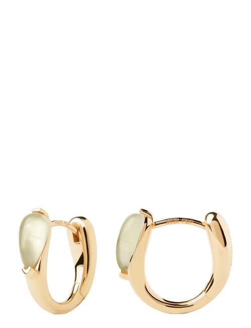 Pdpaola Prehnite Isla Hoops PD Paola Gold