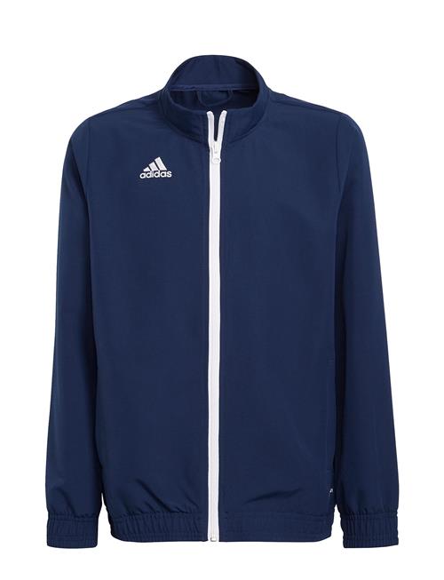 Ent22 Prejkty Adidas Performance Navy